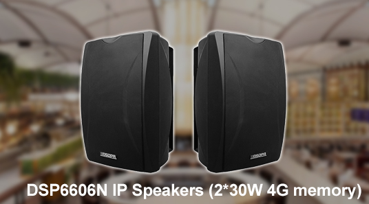 DSP6606N IP-Lautsprecher (2*30W 4G Speicher)