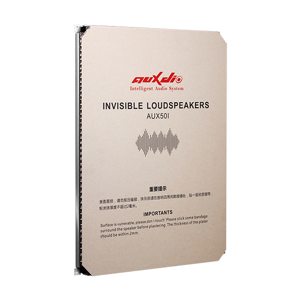 Hidden Speaker: The Future of Seamless Audio Integration - 翻译中...