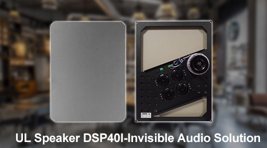 UL-Lautsprecher DSP40I-Invisible Audio-Lösung für zu Hause