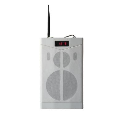 MAG6363G Bluetooth-Netzwerk-Lehr lautsprecher mit 2,4G drahtlosem Mikrofon