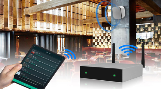 DW0250 Intelligenter WiFi-Streaming-Verstärker