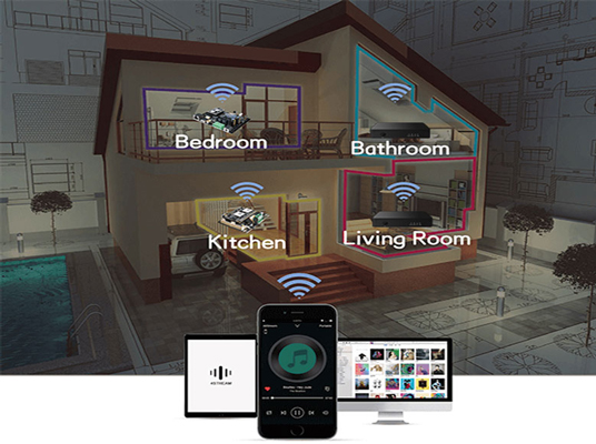 DW01 WiFi Intelligent Audio Streamer für Villa