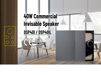 DSP401/ DSP401L 40W kommerzieller unsichtbarer Lautsprecher