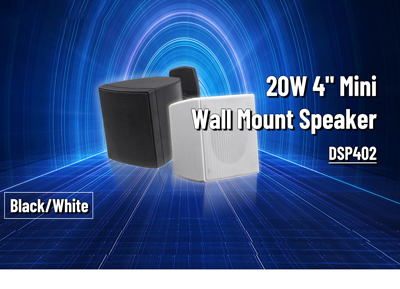 DSP402 20W 4 Zoll Mini Wand halterung Lautsprecher
