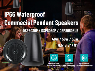 IP66 Wasserdichte Commecial Anhänger Lautsprecher DSP6030P DSP8050P DSP8050SUB