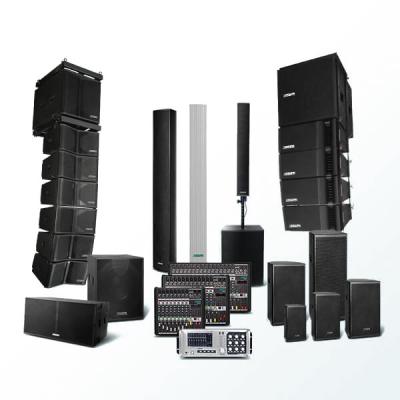 DSPPA Pro Audiosystem