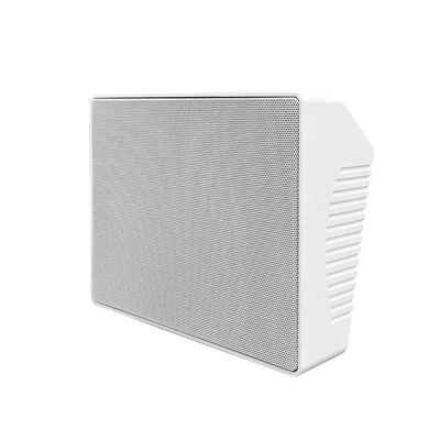 DSP4008 IP Network Wall Mounted Speaker - 翻译中...